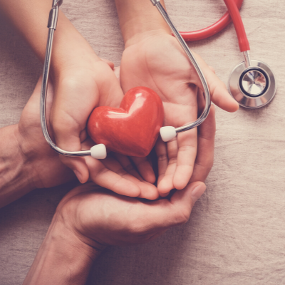 Two Hands Holding a Red Model Heart