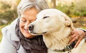 Elderly Woman With Companion Pet