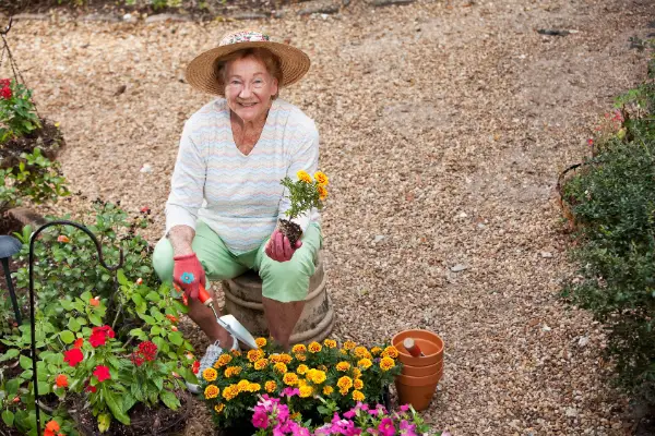 A senior woman doing some garden chores