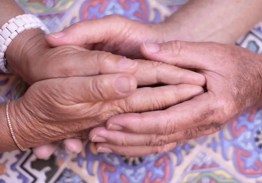 Closeup photo of two sets of hands